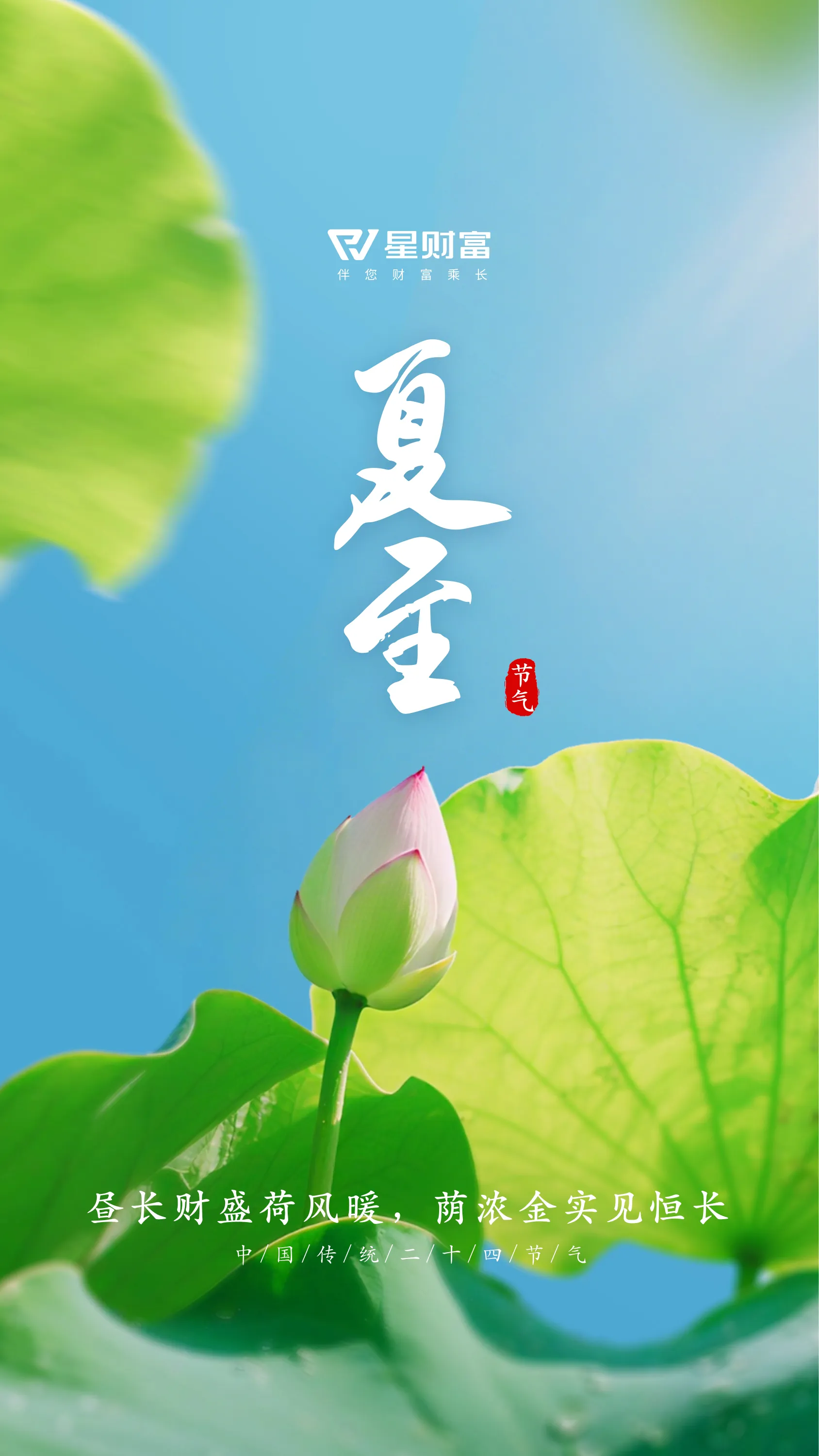 节气海报-14